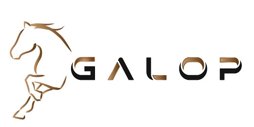 galop logo erstellung.jpg